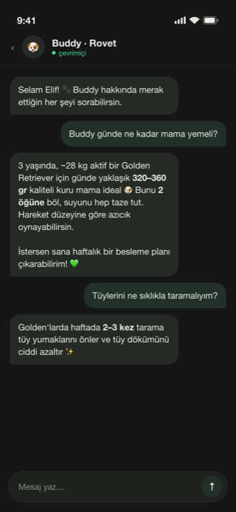 Rovet yapay zeka sohbeti: Buddy'nin beslenmesi hakkında samimi öneriler