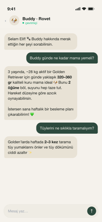 Rovet yapay zeka sohbet ekranı