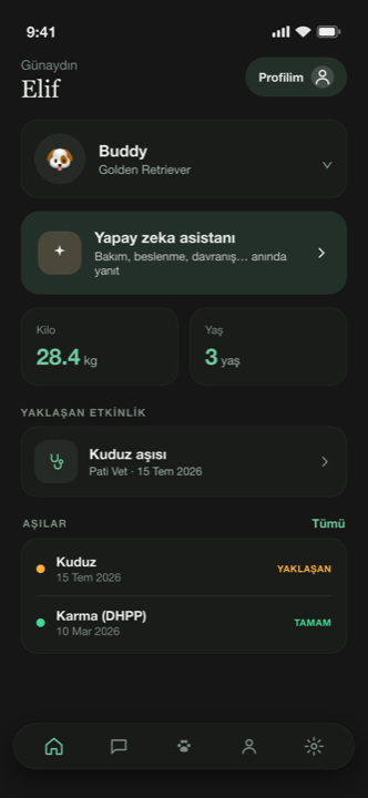 Rovet karanlık mod